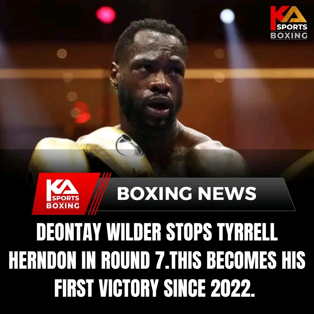 Deontay Wilder Returns With Stoppage Win Over Herndon
